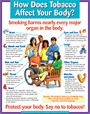 How Does Tobacco Affect Your Body?  (Display Poster)
