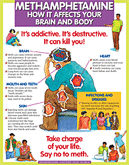 Methamphetamine: How It Affects Brain/Body (Display Poster)