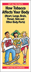 How Tobacco Affects Your Body