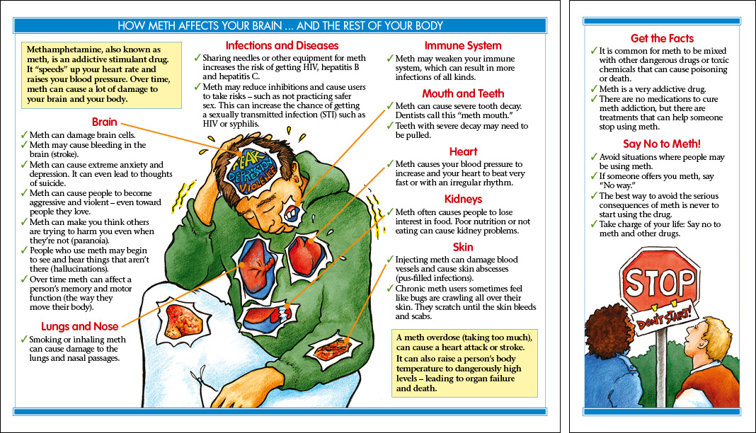 How Meth Affects Your Brainand the Rest of Your